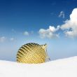 golden christmas bauble in snow