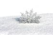 winter background