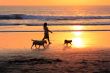 walk on sunset