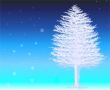 Winter Background