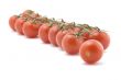 Raw tomato on white closeup