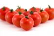 Tomato group