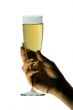 Champagne in womans hand isolated