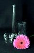 Glass things and rose flower