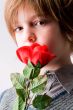 Young boy with a rose