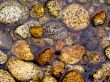 Stones in a River