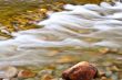 Merced River in Fall