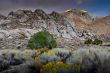 Desert Scene in Fall
