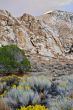 Desert Scene in Fall