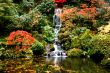 Small Waterfall