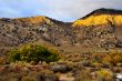 Desert Scene in Fall