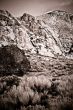 Desert Scene in Fall