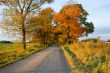 Dirt Road in Fall