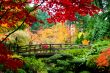 Bridge in a Garden
