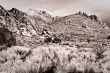 Desert Scene in Fall