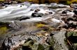 Merced River
