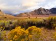 Desert Scene in Fall