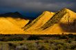 Desert Scene in Fall
