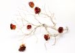 Barren Branch with Rose Buds