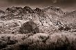 Desert Scene in Fall