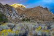 Desert Scene in Fall