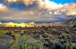 Desert Scene in Fall