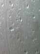 rain drops in a window