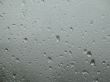 rain drops in a window
