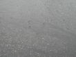 rain on the pavement