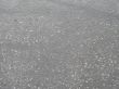 rain on the pavement