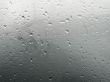 rain drops in a window