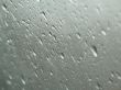 rain drops in a window