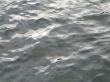 clear wavy lake water