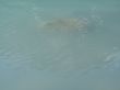 turquoise lake water