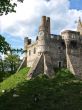 Ruins of medieval castle on a hill under which goats are grazed