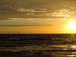 Birds and sunset over the sea