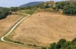 Landscape near Volterra (Tuscany) at summer