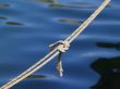 knotted rope