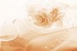 Wedding texture
