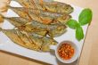 Dish Fish