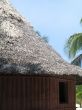 tropical hut