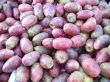 Cactus Pears