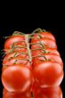 Ripe tomato macro