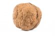 nut