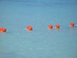 buoys on the ocean
