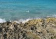 wave crashing on a cliff
