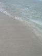 ocean wave on the beach