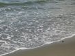 ocean wave on the beach