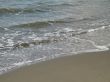ocean wave on the beach