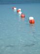 buoys on the ocean